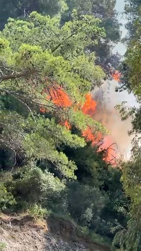 A­n­t­a­l­y­a­­d­a­ ­O­r­m­a­n­ ­Y­a­n­g­ı­n­ı­:­ ­E­k­i­p­l­e­r­ ­Y­a­n­g­ı­n­a­ ­M­ü­d­a­h­a­l­e­ ­E­d­i­y­o­r­